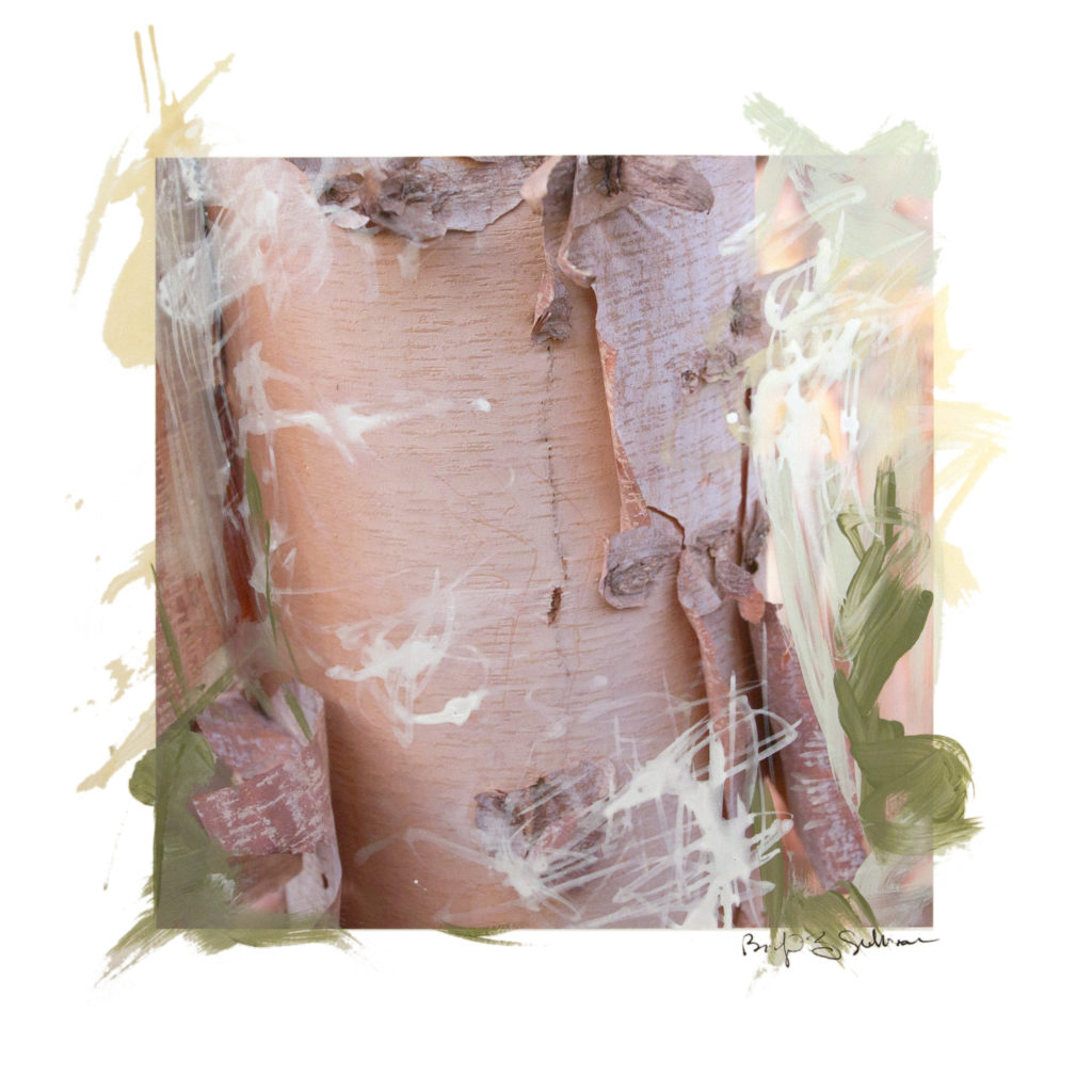 close up image of tree trunk, bark peeling, expressive paint and drawn marks on top of image